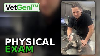 How to Document a Veterinary Physical Exam in VetGeni