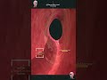 A Journey Inside A Beating Heart