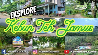 Download lagu Eksplore Wisata Kebun Teh Jamus mp3 Download lagu Eksplore Wisata Kebun Teh Jamus mp3
