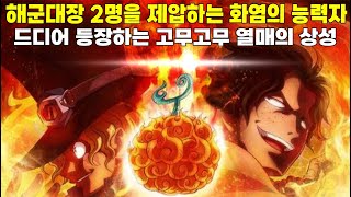 드디어 등장 고무고무 열매의 상성을 초월하는 악마의 열매 능력자