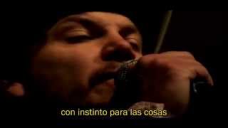 Wilco - Ashes of American Flags (subtítulos español)