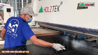 Máy cắt ván thông minh panelsaw TECTRA-328F cắt ván phủ Veneer