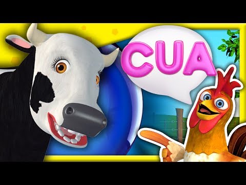 Allá en el Campo | Adivina los animales con Bartolito | A Jugar