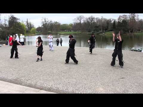 Alpha Wolve´s Society Dance to Nachtmahr - Can you feel the beat?