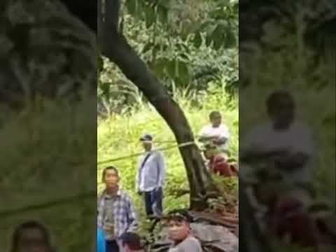 🚨 HALLAN SIN VIDA A UNA PAREJA EN SUCHITEPÉQUEZ