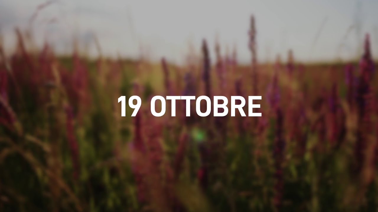 19 Ottobre 2025 | Meditazione Parole di Vita
