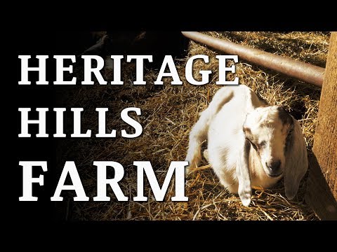 Visiting HERITAGE HILLS Farm and GIVEAWAY! Video