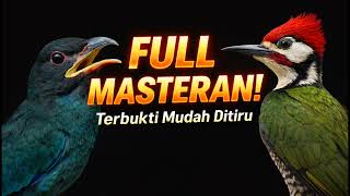 Download lagu Masteran Tengkek Buto Vs Pelatuk Bawang | Tembakan Mewah Pemikat Juri | Dengan Jeda Dan Tanpa Iklan mp3 Download lagu Masteran Tengkek Buto Vs Pelatuk Bawang | Tembakan Mewah Pemikat Juri | Dengan Jeda Dan Tanpa Iklan mp3