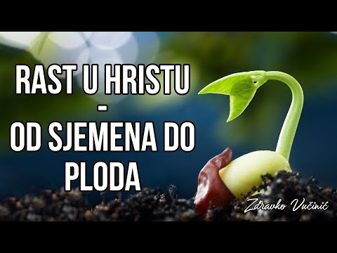 Zdravko Vučinić: Rast u Hristu – od sjemena do ploda