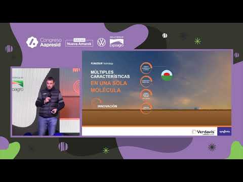 New Syngenta Program for corn leafhopper integrated management