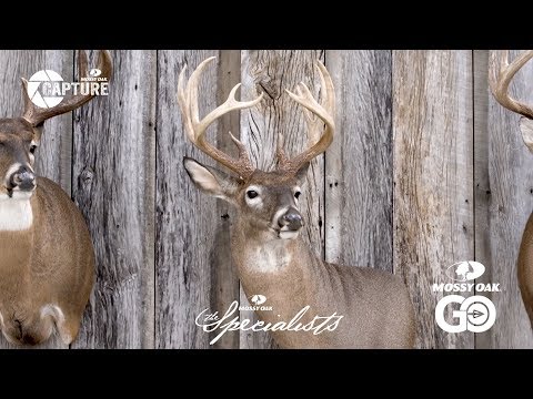 Ben Mears featured with Mossy Oak — Part 1