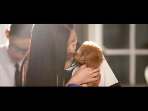 2017 Salad x 水手服女學生 Back to my first love 廣告 [HD]