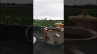 Download lagu Story'wa pagi kopi mp3