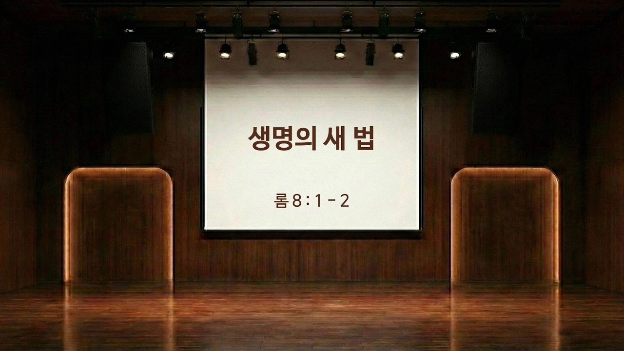 생명의 새 법