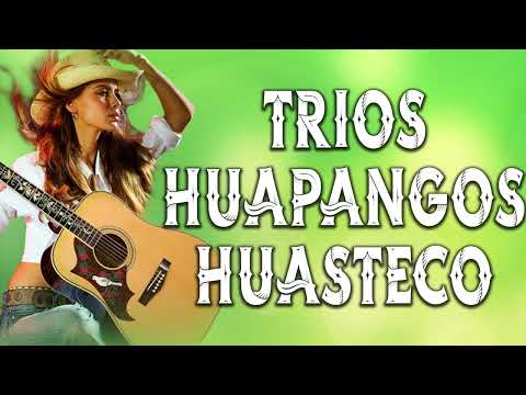 MIX HUAPANGOS HUASTECOS _ VARIOS TRÍOS _ MIX HUAPANGOS HUASTECA 2022 LO MÁS NUEVO