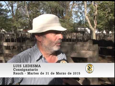 Nota Luis Ledesma - Ledesma y Arana S.R.L. - Rauch. 31-03-2015