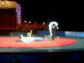 Shane S Circus Act