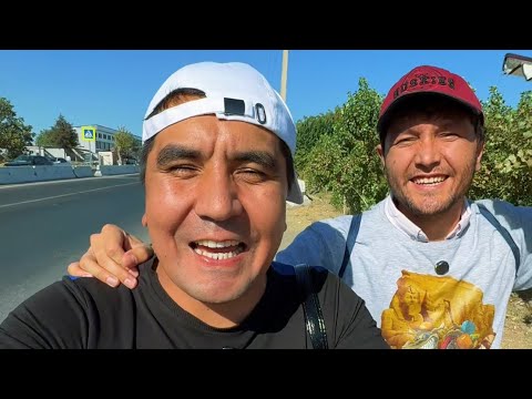 Yo’lga piyoda chiqqanlar