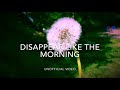 HAMMOCK - DISAPPEAR LIKE THE MORNING (Unofficial Video)