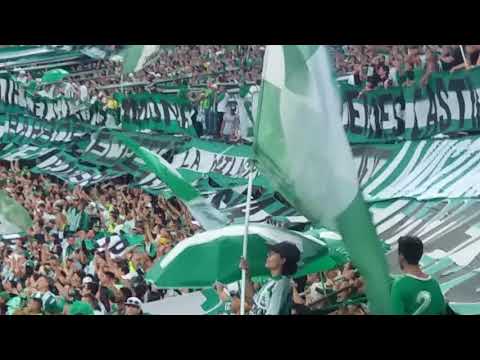 "LosDelSur | Atletico Nacional 2 - medellin 0 Liga Aguila" Barra: Los del Sur • Club: Atlético Nacional