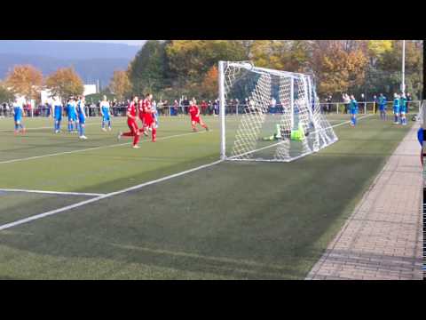 SG HD-Kirchheim - VfR Mannheim / Das 1:1 durch Ajdin Zeric
