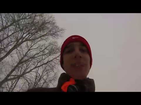 Kiskunfélegyháza Winter 2014