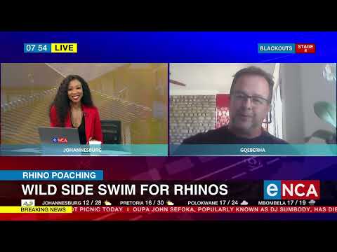 Wild side swim for rhinos