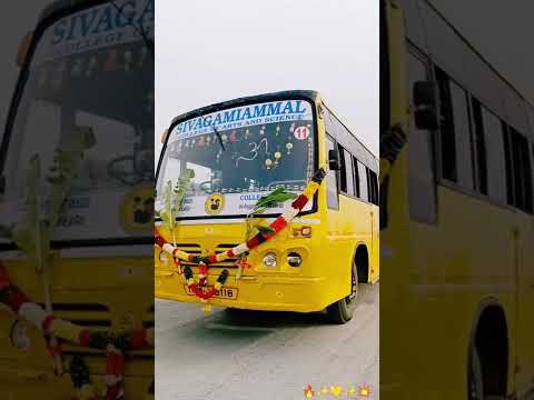 Sivagamiammal college|Mass|💥 video....|Berikai root bus|