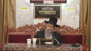 הרב בן ציון מוצפי • מענייני חג הסוכות תשרי תשפ"ה