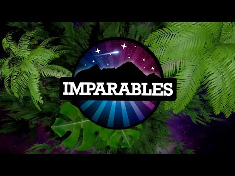 Imparables | Transpyr 2020