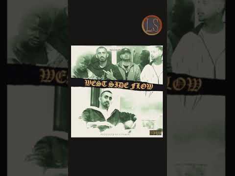 Sultaan Westside flow full song video with lyrics feat OG Ghuman