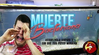 Perdida de ciclado // Muerte Bacteriana, soluciónalo rápido y sin muertes