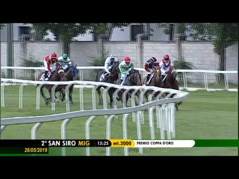 2019.05.26 Premio Coppa D'oro (ITA) - Mixology