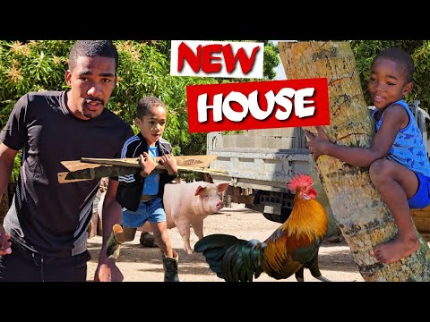 Huge Progress on the House we're Building for our Family + Planting Coconut trees 🌴...