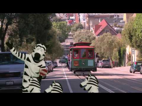 Zebra Makes the Best Crossing Guard! -   #justaddzebras