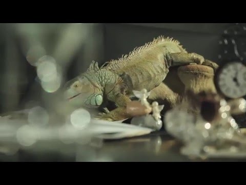 WHO WILL BE MY HUSBAND by Darya Khrenova