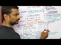 Botany Chapter 1 Living World General Characters Of Living Organisms Tamil Medium