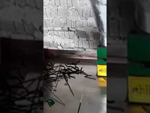 Colourwheel  raw agarbatti 960 to 1020