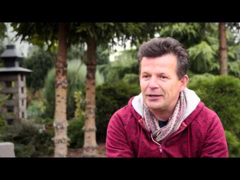 Sztuka Szuka IQ. Artyści Wrocławia - Tomasz Domański