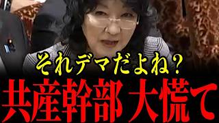 【片山さつき】共産幹部、必死に片山大臣を陥れようとするも秒で嘘がバレて返り討ちにあってしまう…片山さつきの核心を突く答弁に青ざめる瞬間…【自民党/立憲民主党/日本保守党/小池晃】