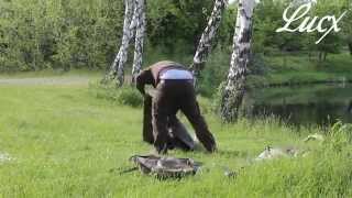 Lucx Angelzelt – Bivvy "Lion", 1–2 Mann, inkl. Überwurf Aufbau/Tutorial