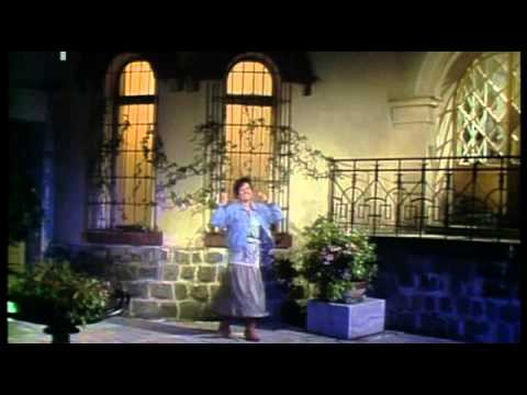 Jižní kříž - Marie Rottrová
