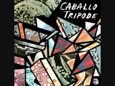 La bella asesina - Caballo tripode