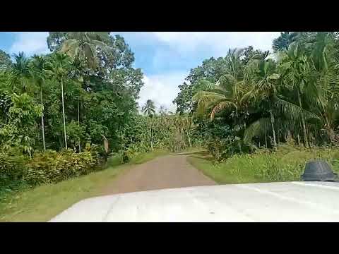 Buluminski Highway, New Ireland Province, 🇵🇬
