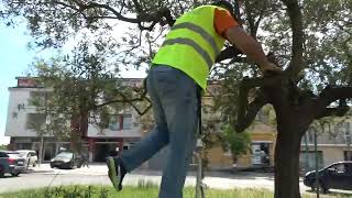 un-bell-esempio-di-senso-civico-e-rispetto-per-l-ambiente-ad-ariano