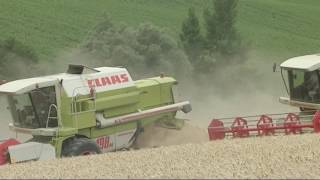 AS 2016 (Exercice 2015-16) . 1/5 . Collecte Commercialisation Agrodistribution V