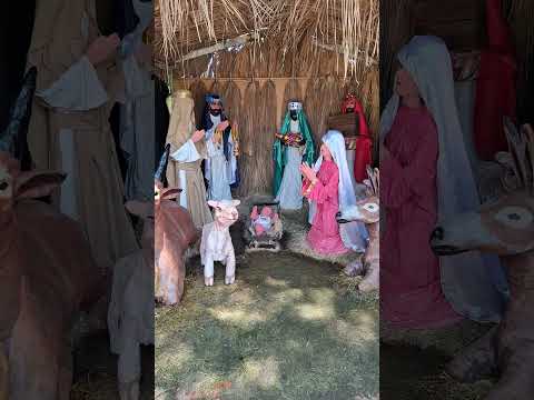 FELICES FIESTAS | CIUDAD DE ALDERETES | TUCUMAN ARGENTINA