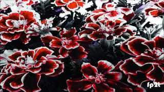 Static Daydream • I Want To Break Your Heart