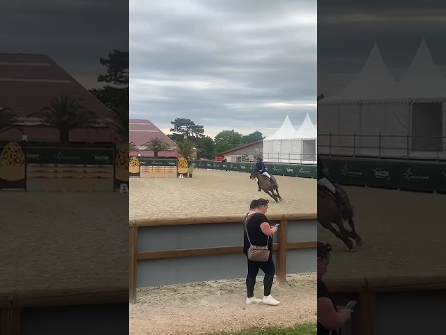 Poney CSO 