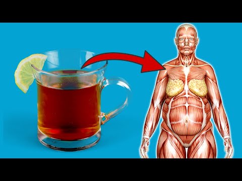 Du glaubst nicht WAS passiert, wenn du täglich Tee trinkst 💥 (überraschend) 🤯